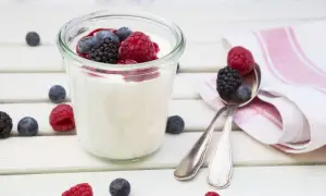 How Long Does it Take for Yogurt to Freeze?