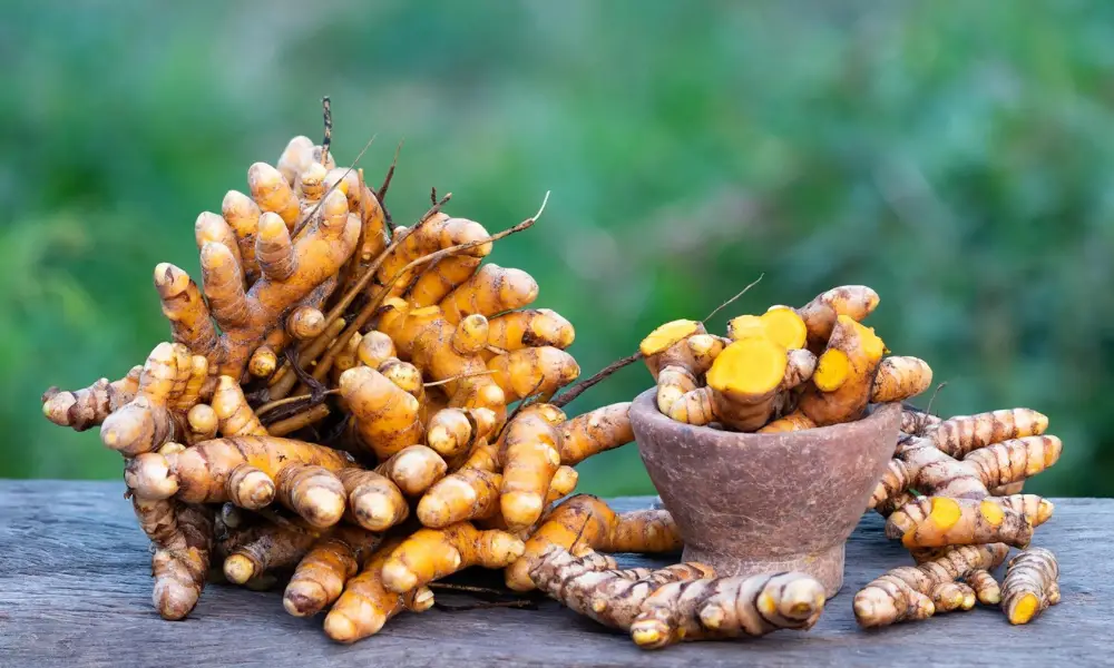 How To Store Turmeric Root Top Food Storage Reviews