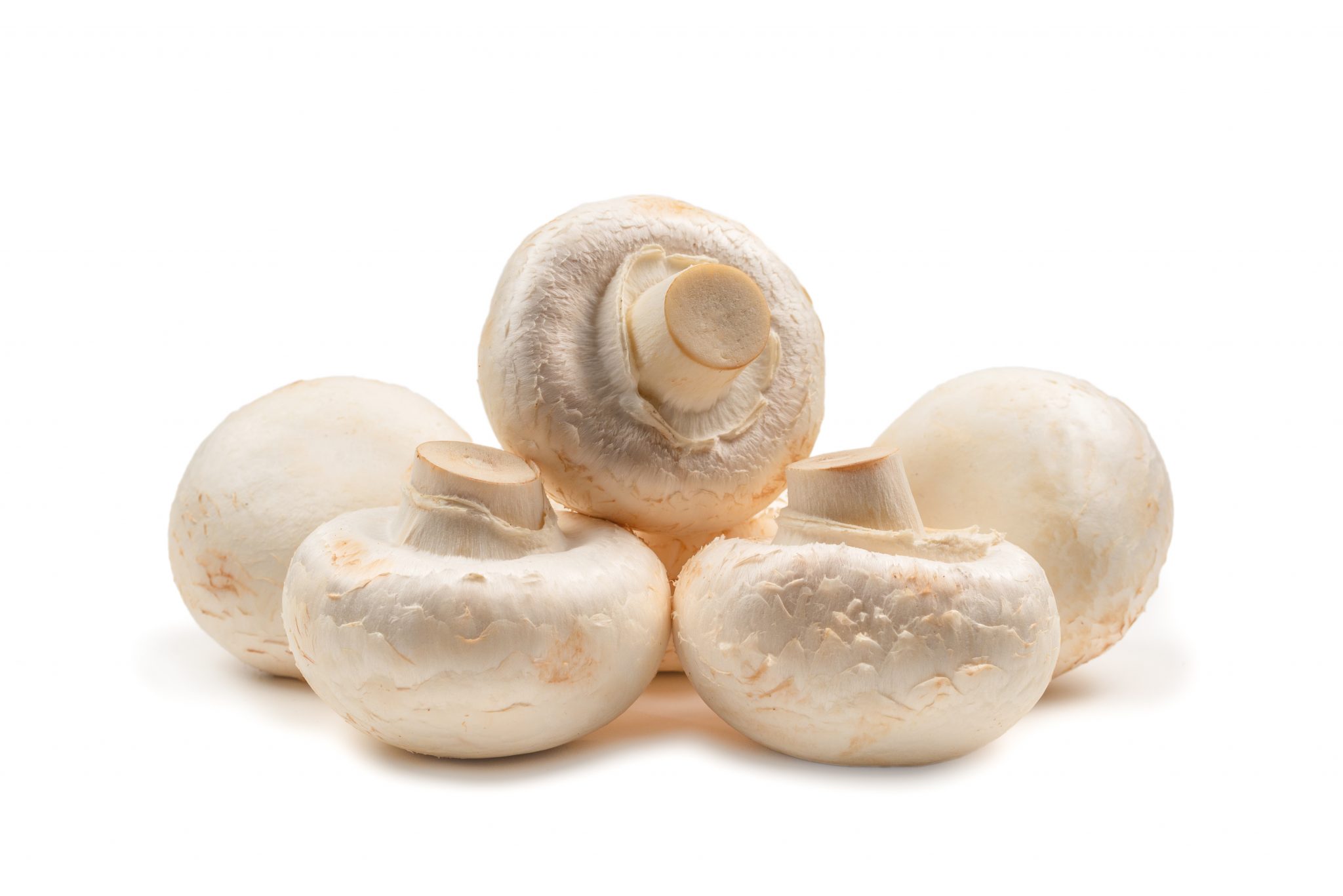 How to Freeze Fresh Mushrooms?