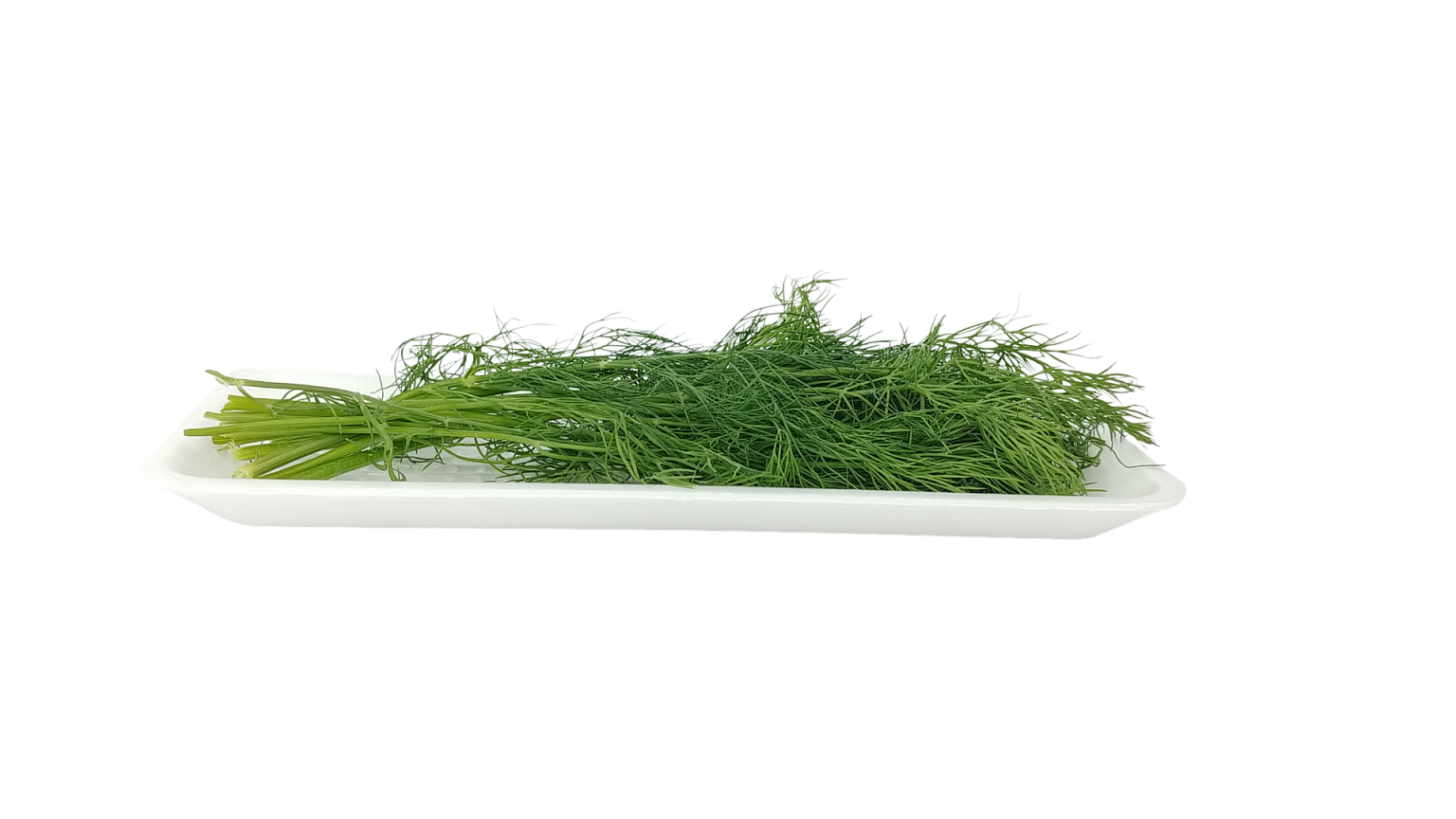 How to Freeze Fresh Dill? Top Food Storage Reviews