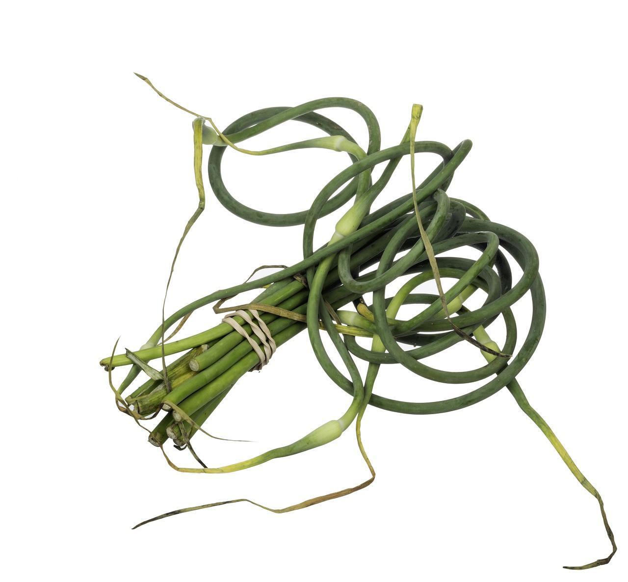 Garlic Scapes