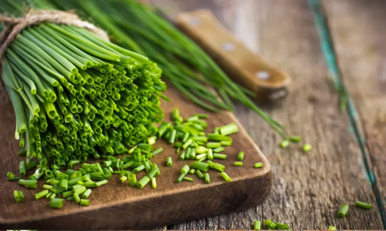 How to Store Chives? - Top Food Storage Reviews