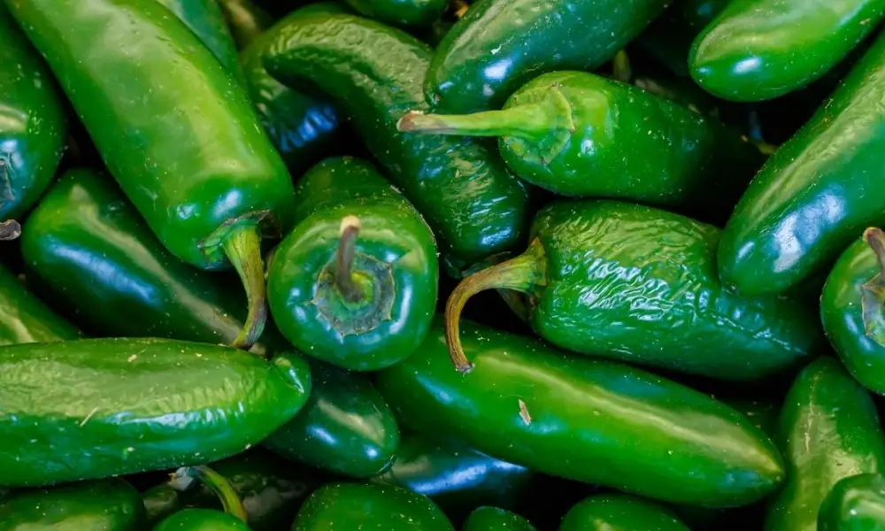 Jalapenos