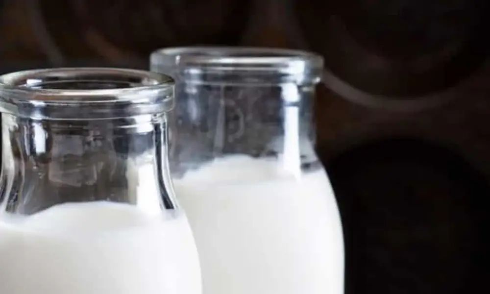 How to Store Coconut Milk?