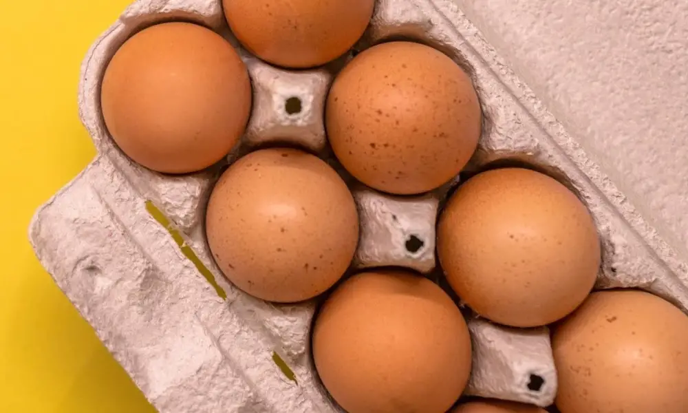 Eggs