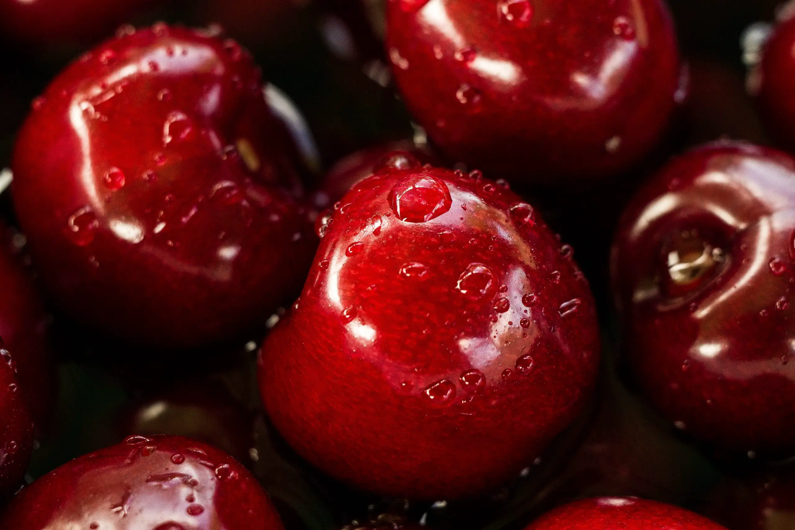 How to Freeze Fresh Cherries (2)
