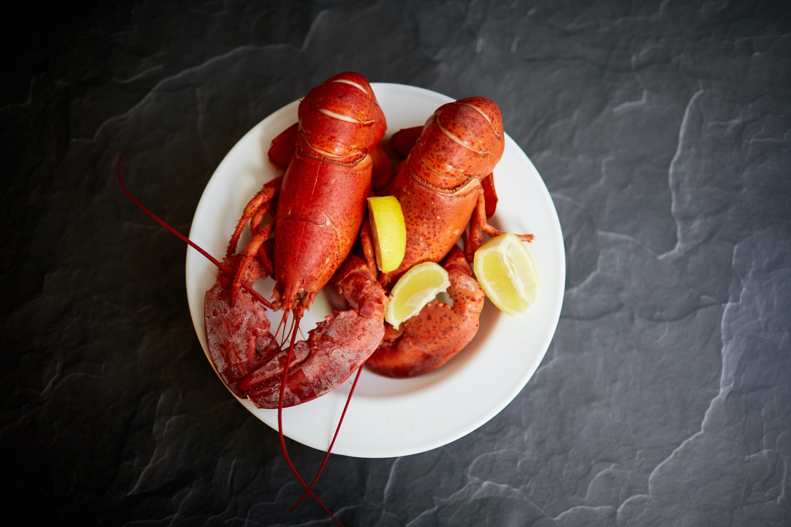 How to Reheat Cooked Lobster
