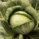 How to Store Cabbage in the Fridge (2)