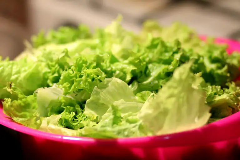 How to Store Lettuce in the Fridge.