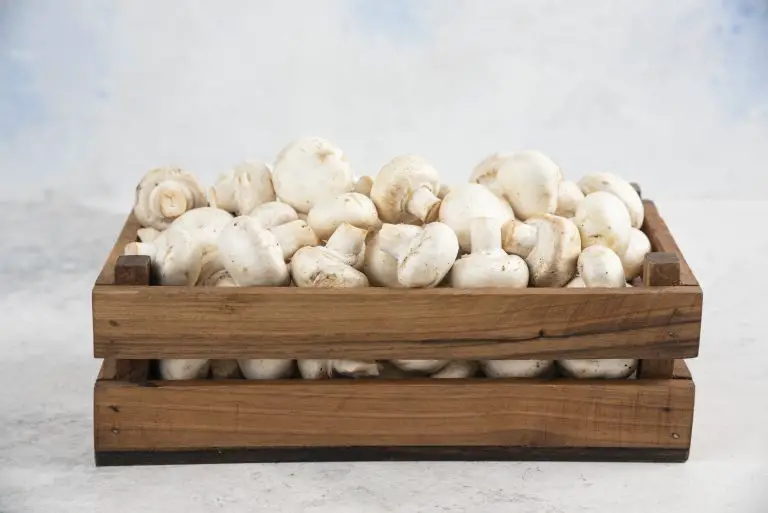 How to Store Mushrooms