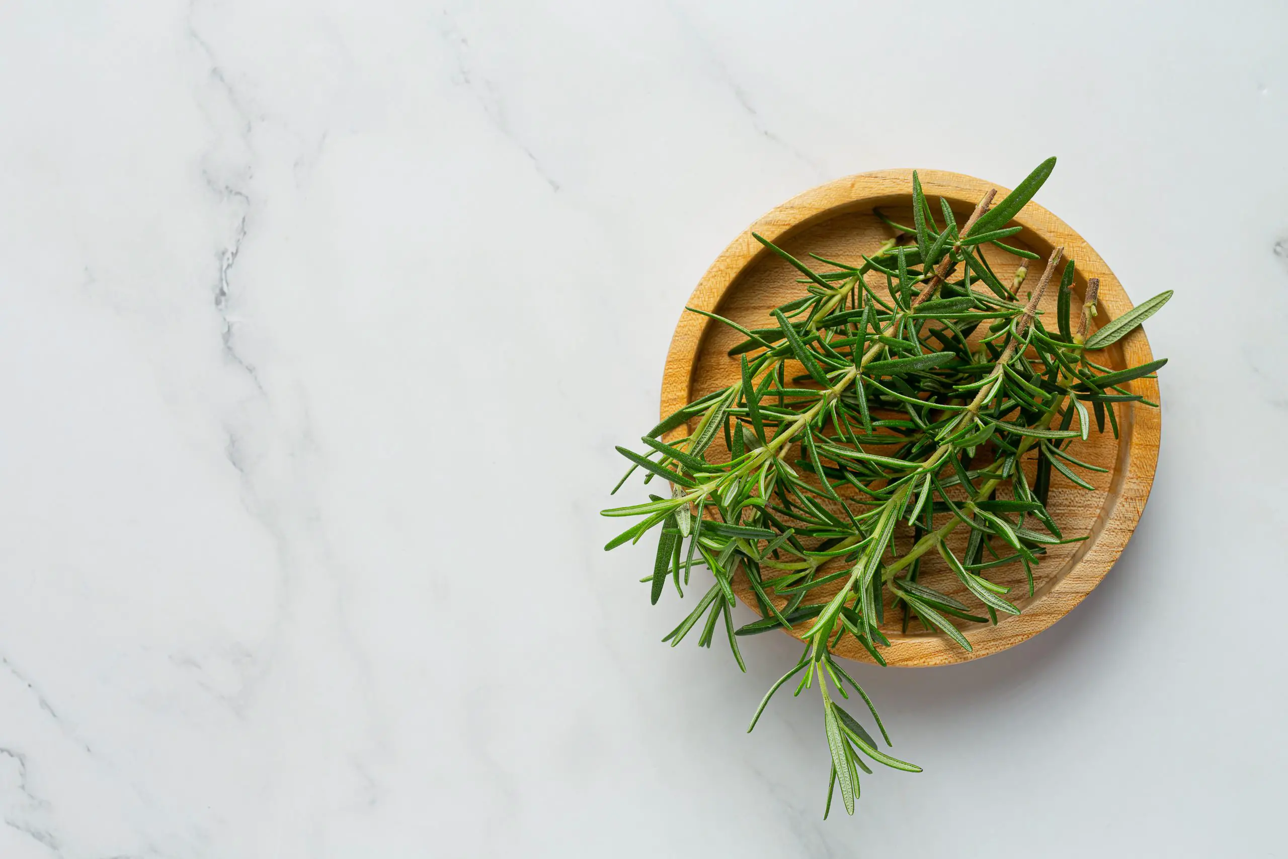 How to Store Rosemary
