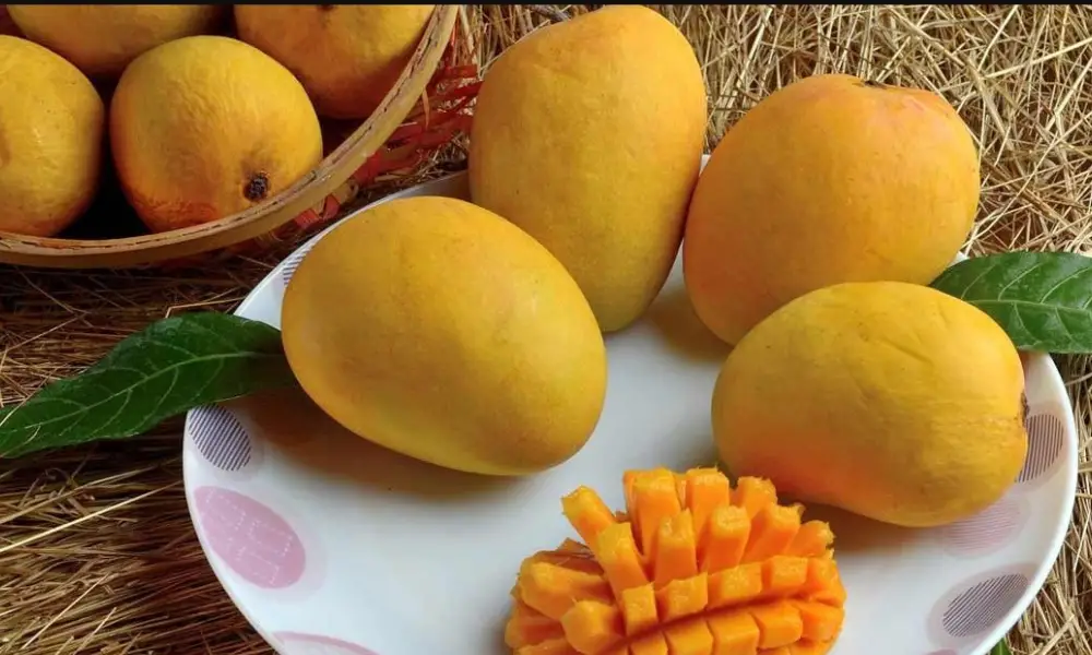 Mangoes