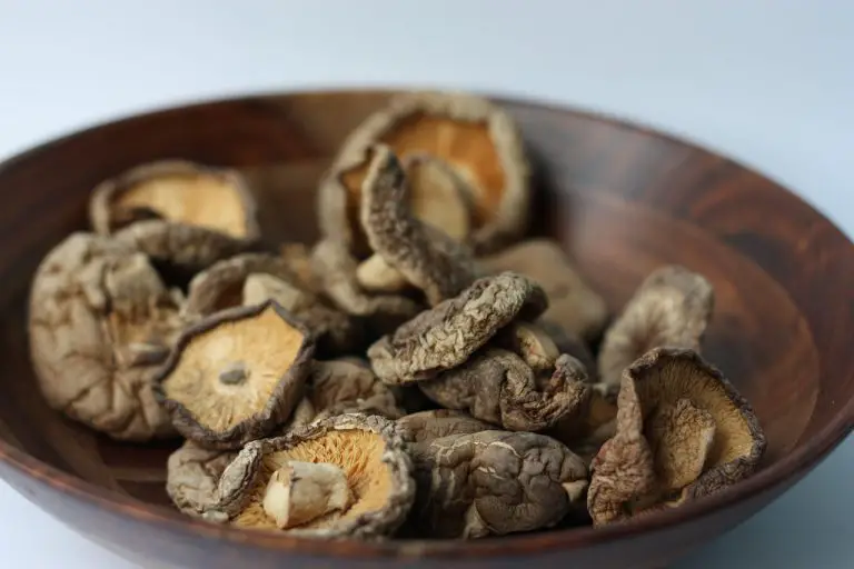 Dried Mushrooms