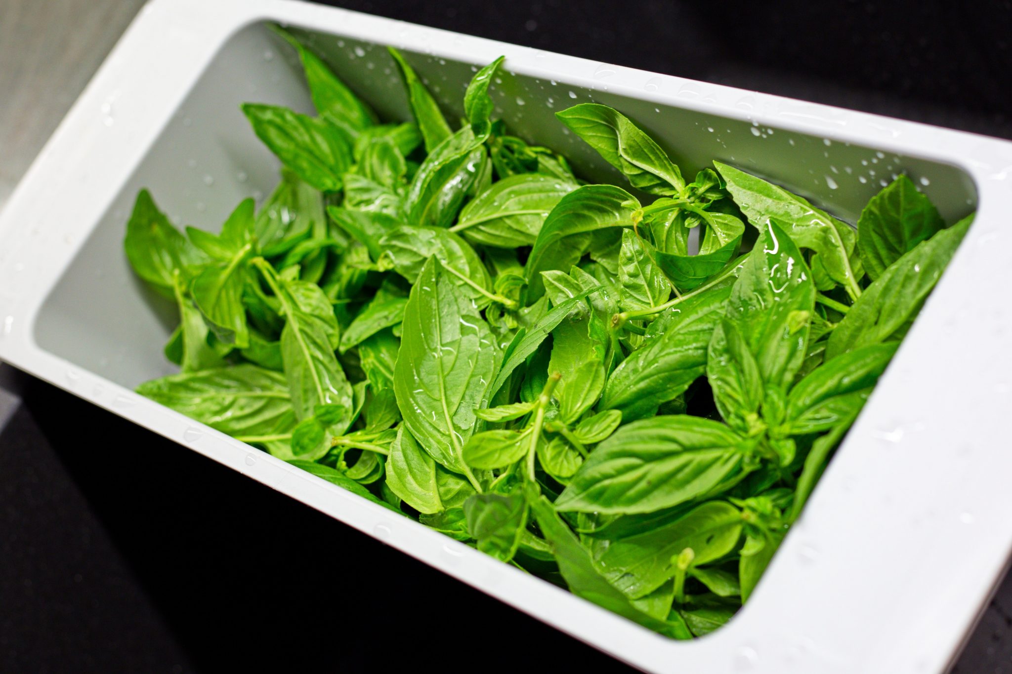 How do you Freeze Basil? Top Food Storage Reviews