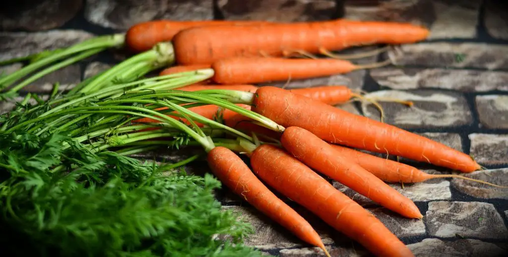How to Freeze Carrots Without Blanching 