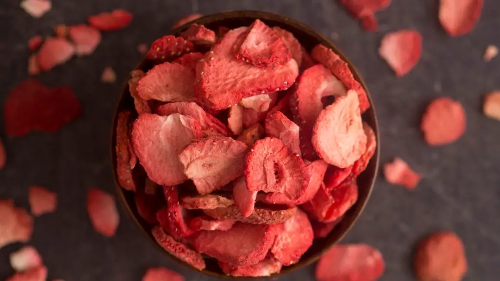 How to Freeze Dry Food?