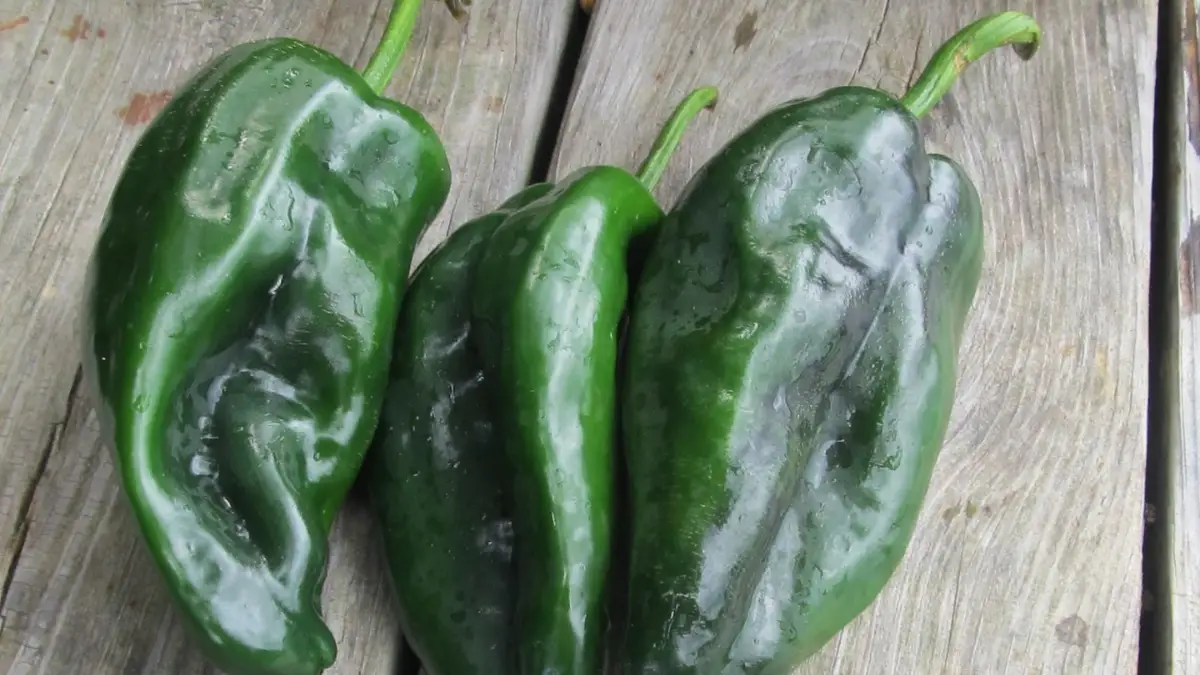 How to Freeze Poblano Peppers (1)