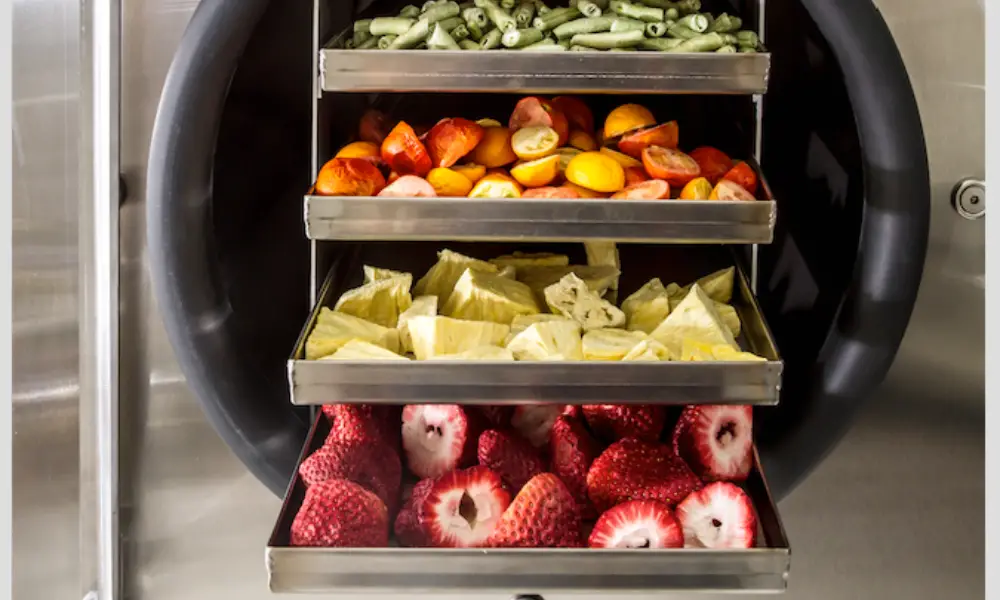 Unveiling The Secrets Of Freeze Drying: How Does Freeze Drying Work?