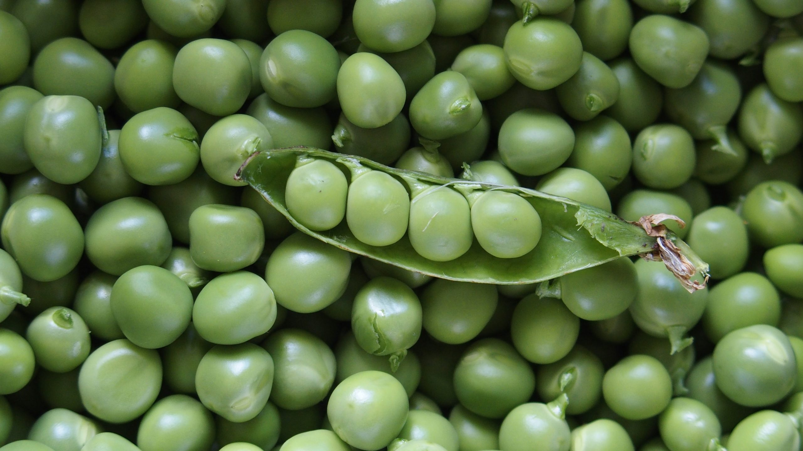 How to Freeze Snow Peas