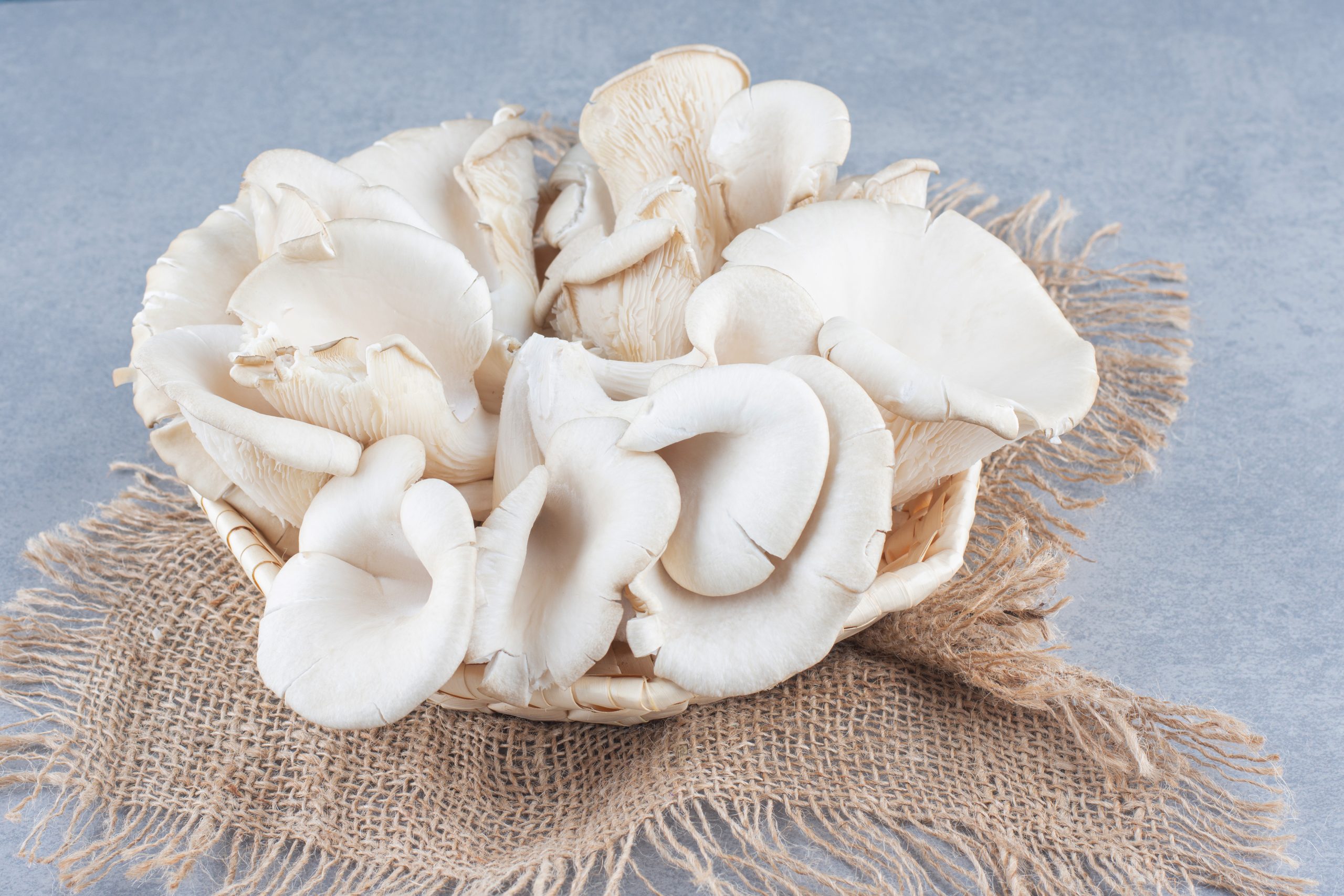 How to Store Oyster Mushrooms