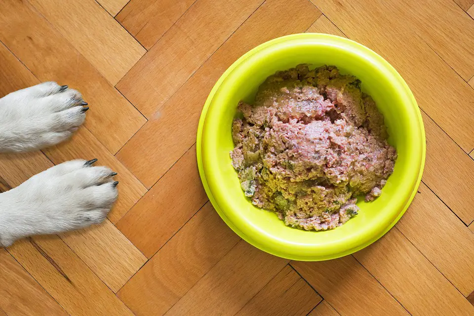 how long does dog food last after opening