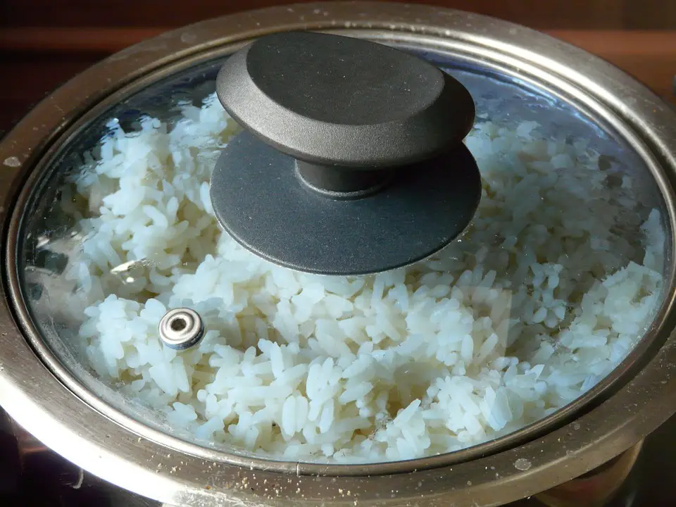 Rice