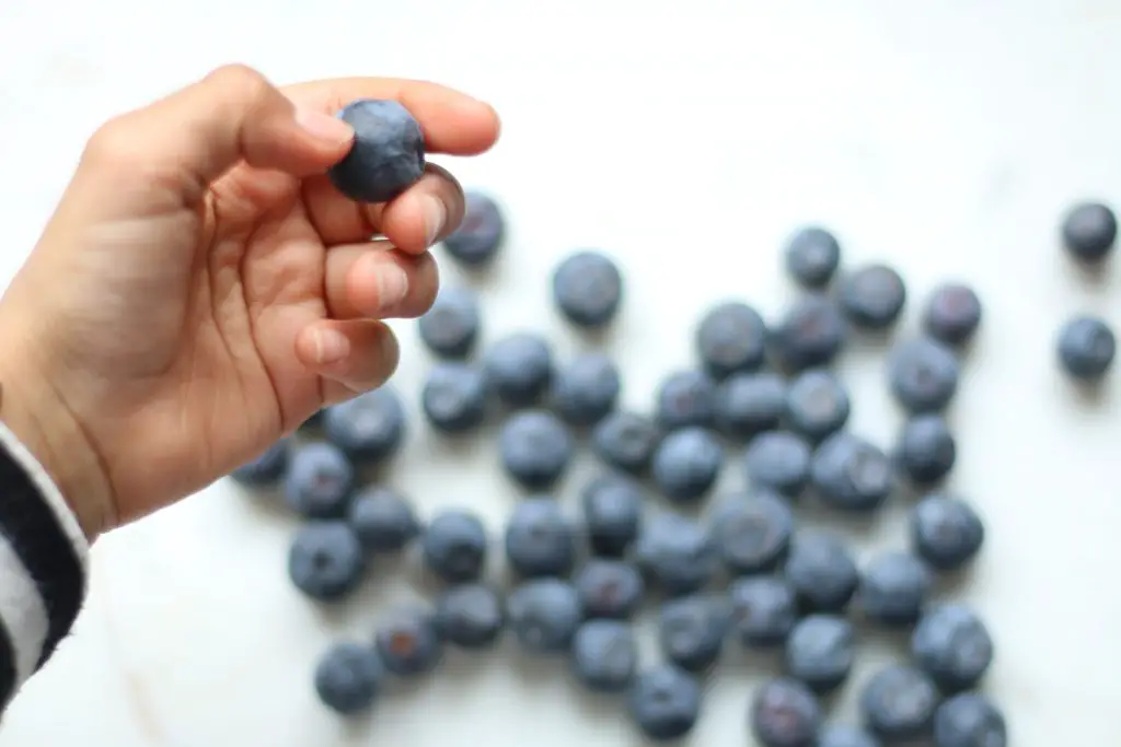 How Long Do Blueberries Last in the Fridge