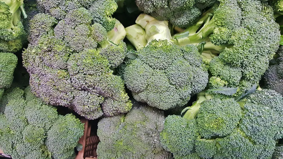 Broccoli Florets