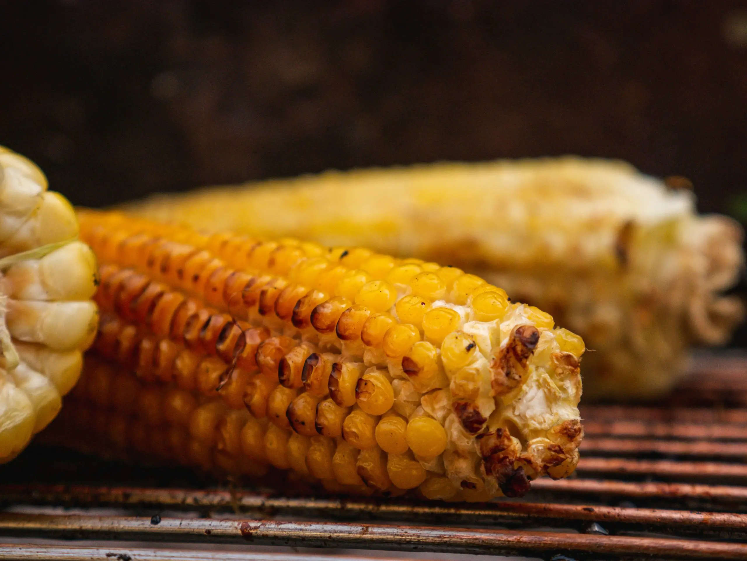 Can You Reheat Corn on the Cob in the Oven
