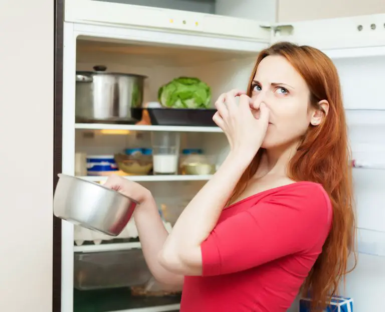 How to Get Fish Smell Out of Fridge