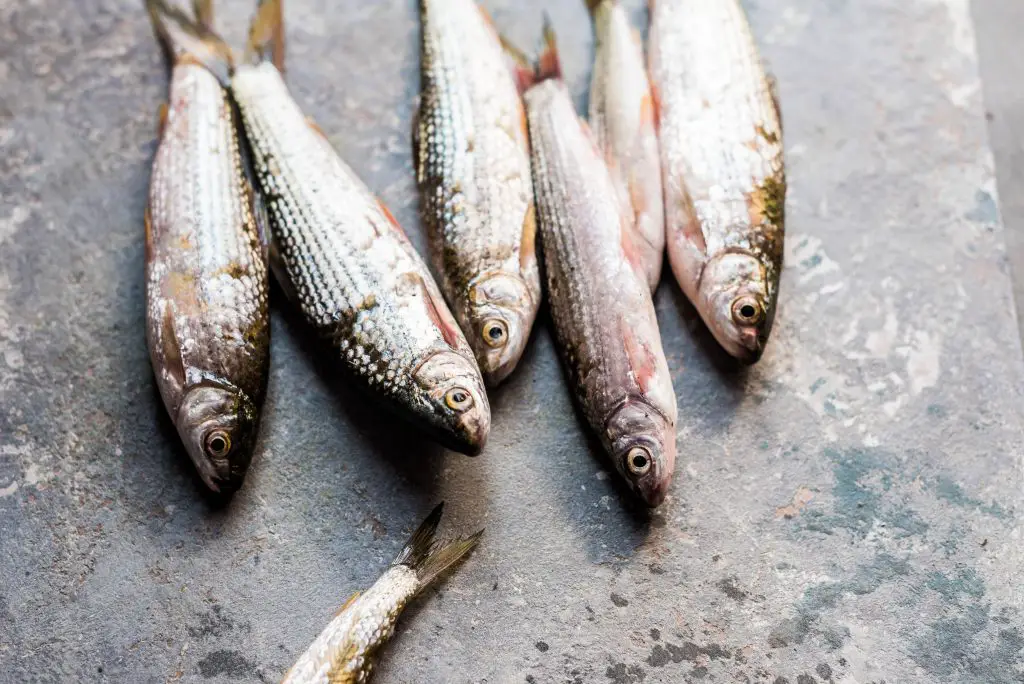 How to Get Fish Smell Out of Fridge