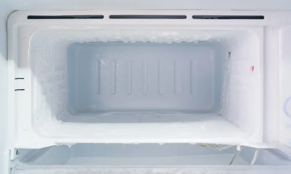 Manual Defrost Freezer