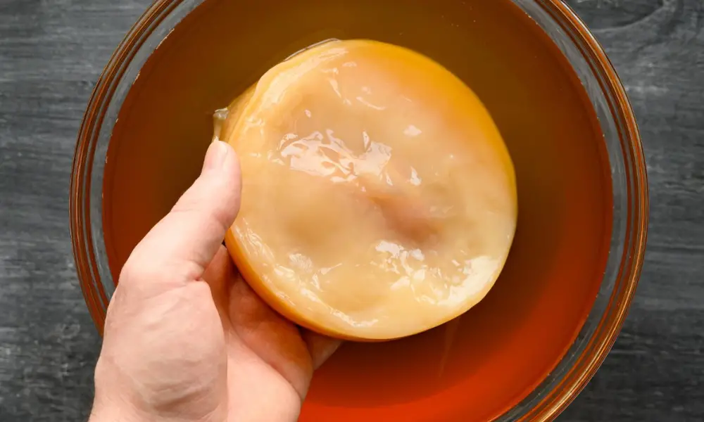 Scoby