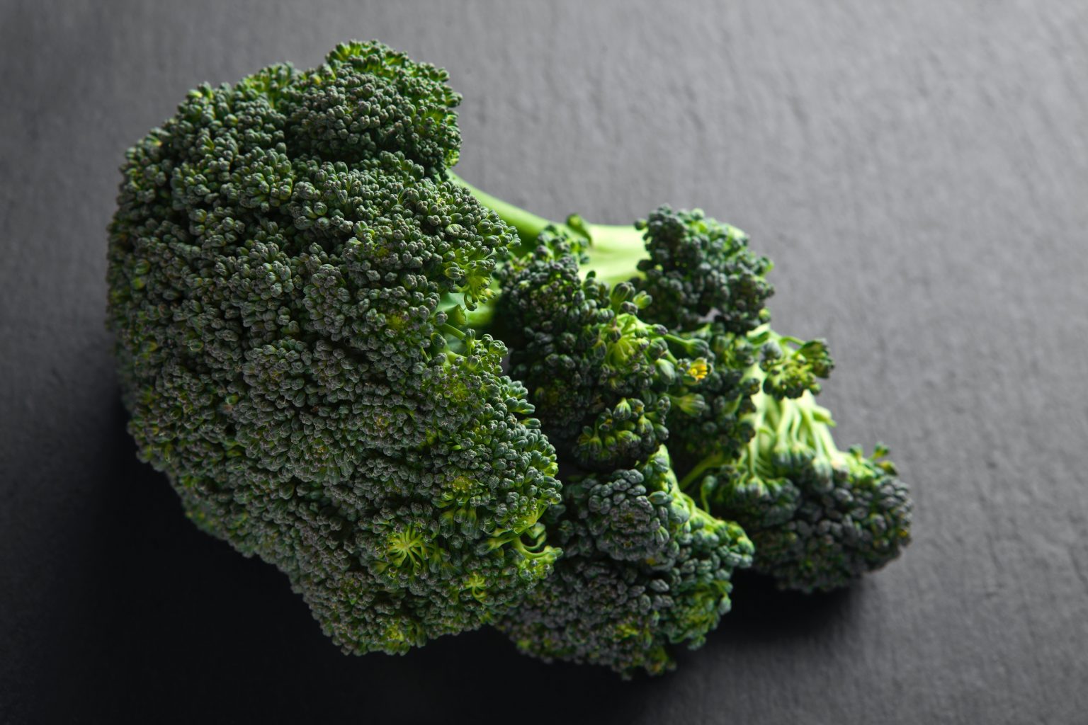 How to Store Broccoli in the Fridge? Top Food Storage Reviews