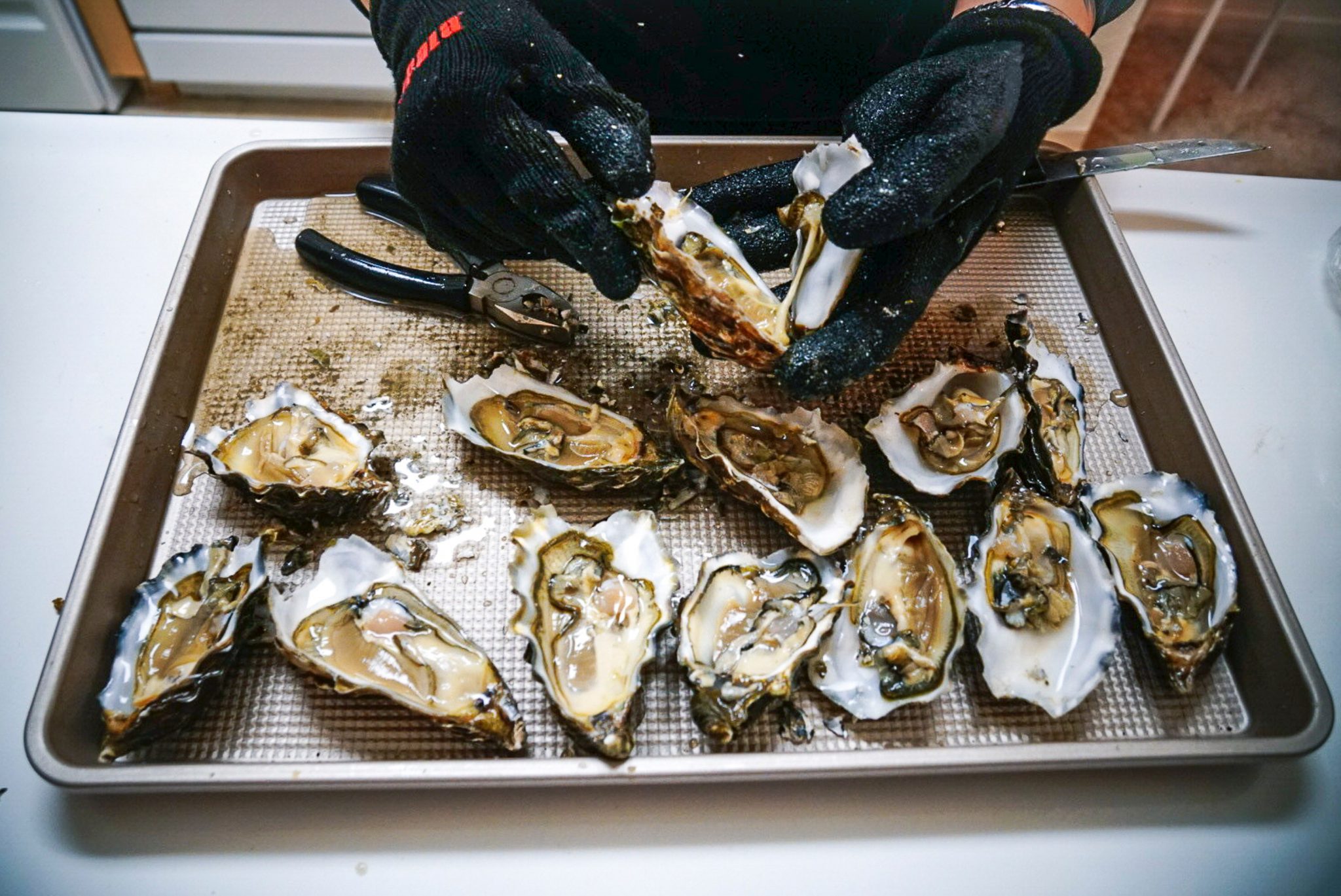 How to Store Oysters in the Fridge? Top Food Storage Reviews