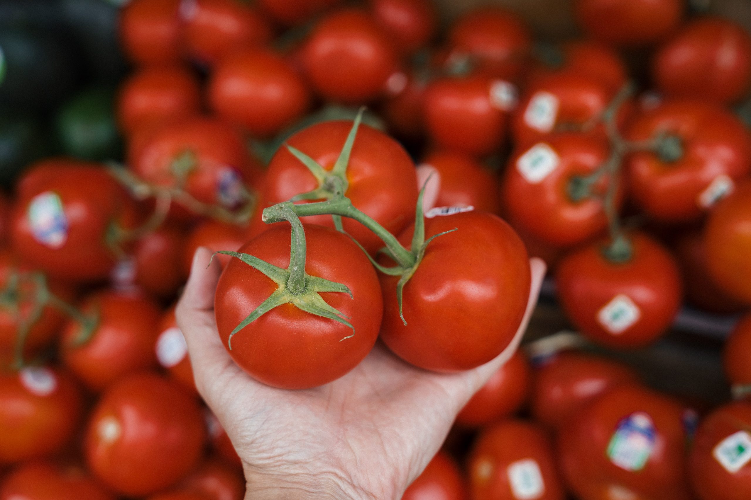 how-long-do-tomatoes-last-in-the-fridge