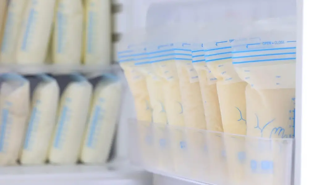 how-to-thaw-breast-milk-from-the-freezer-fast