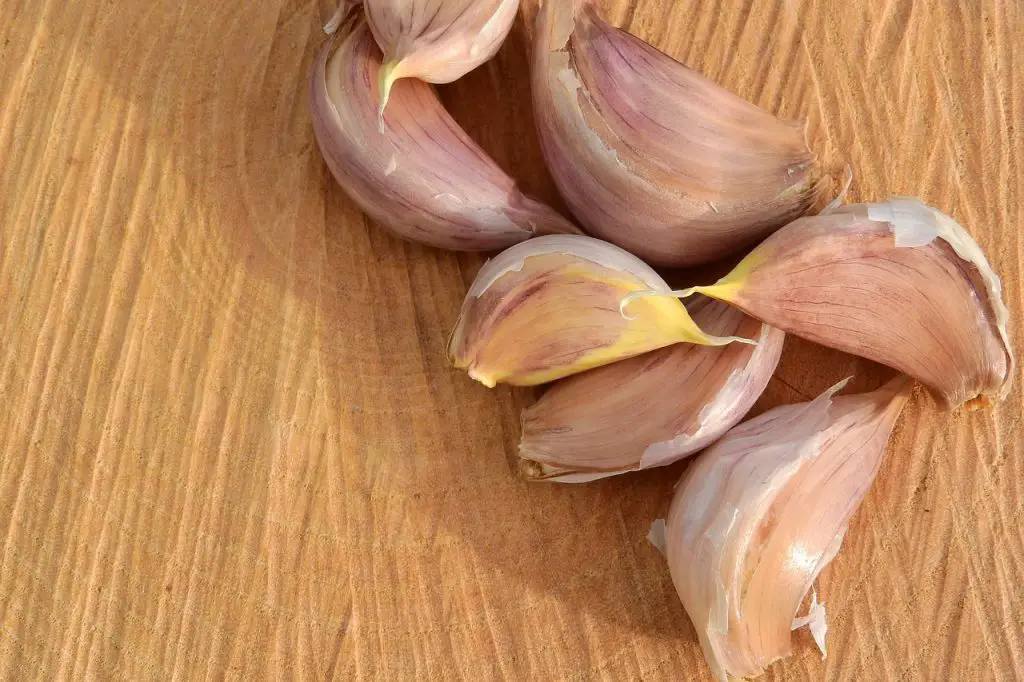 How to Store Garlic Cloves? Top Food Storage Reviews
