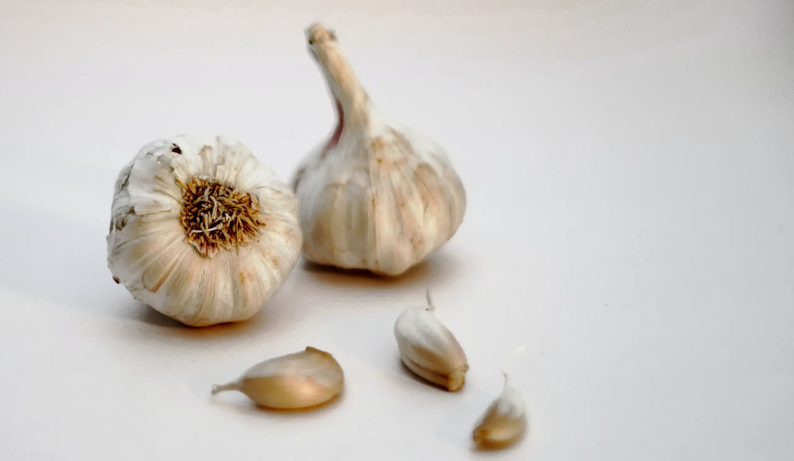 How Do You Store Garlic (2)