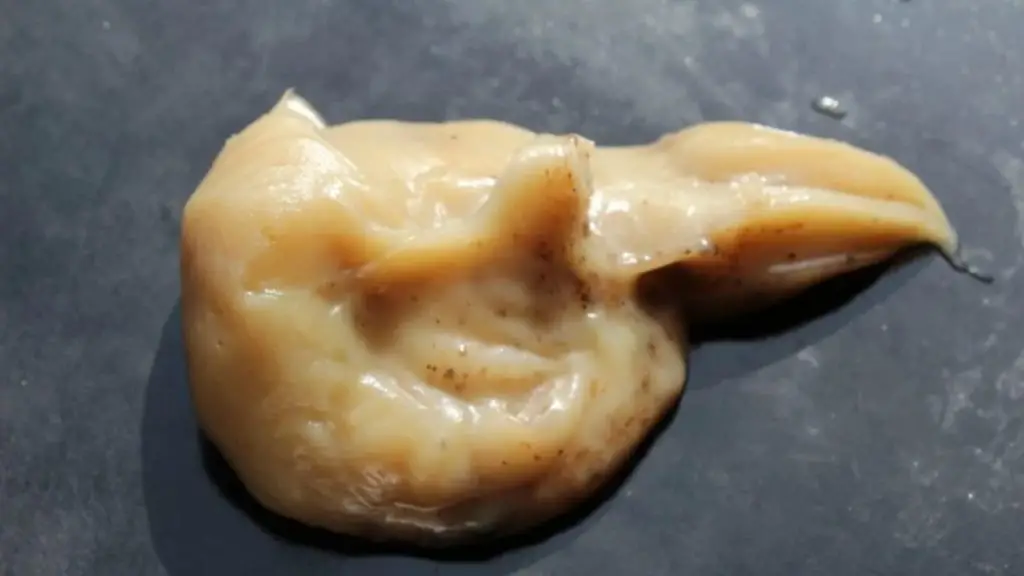 How to Store Bacon Grease