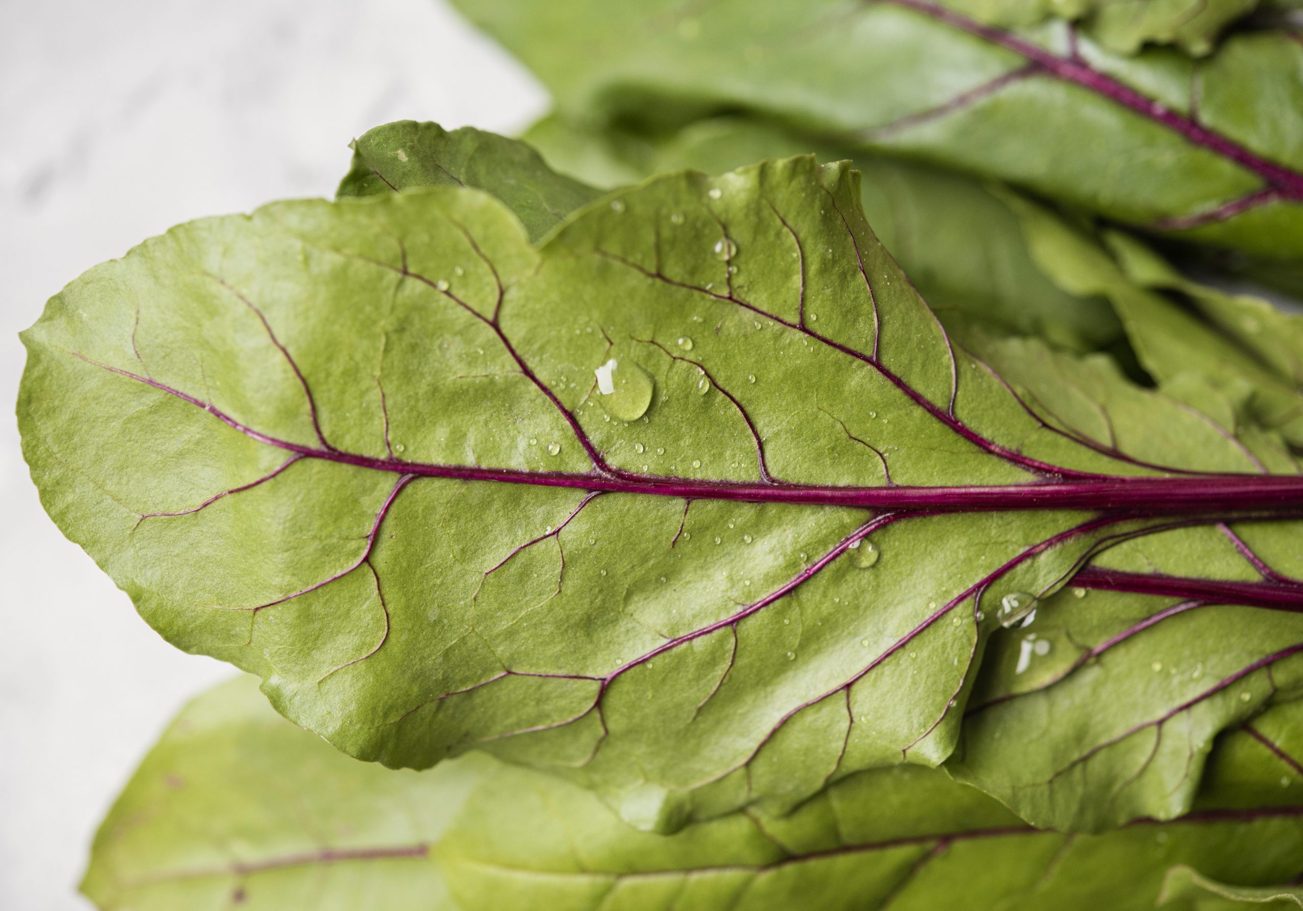 How to Store Swiss Chard