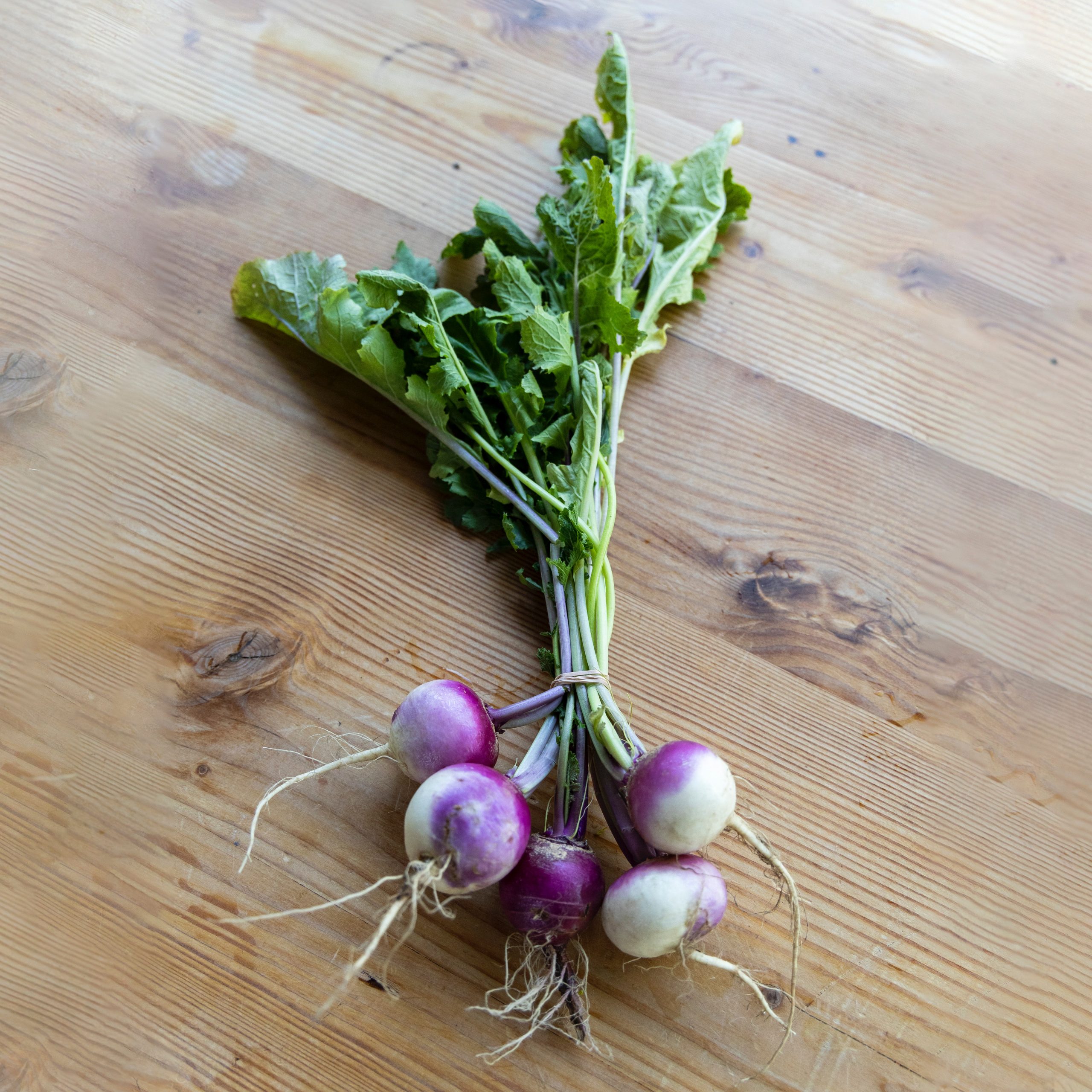 How to Store Turnips