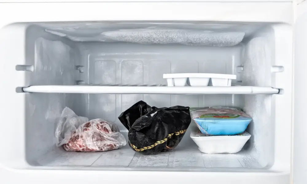 Manual Defrost Freezer