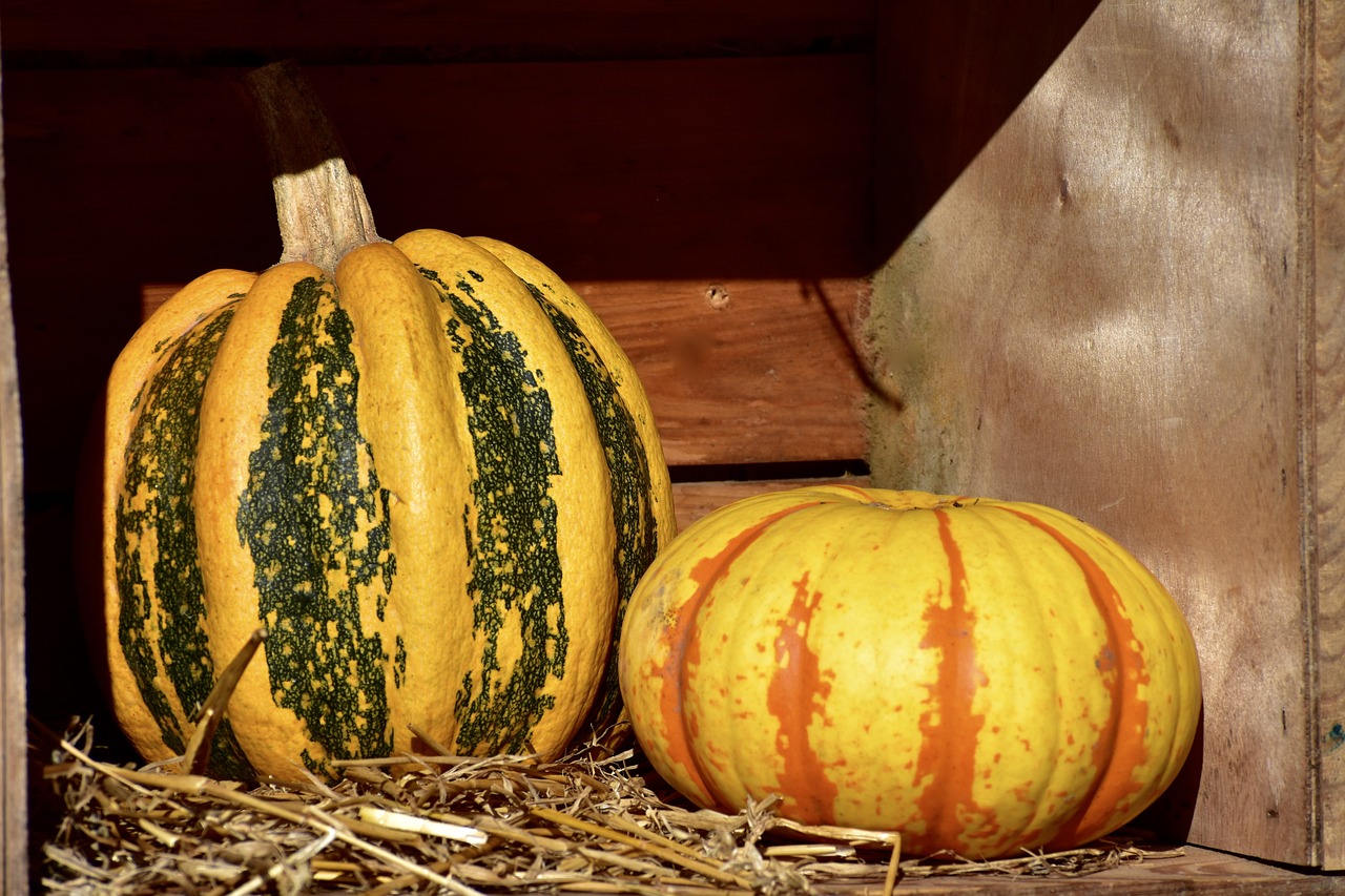 Yellow Squash